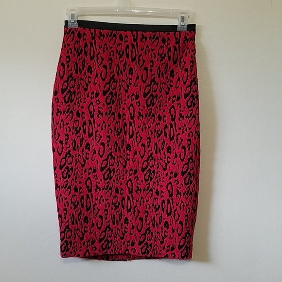 Express Dresses & Skirts - EXPRESS Skirt